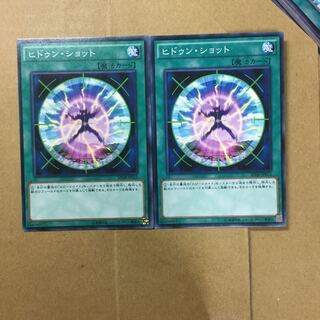 ヒドゥン・ショット２枚