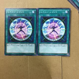 ヒドゥン・ショット２枚