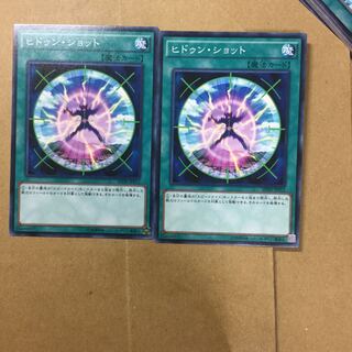 ヒドゥン・ショット２枚