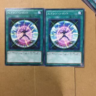 ヒドゥン・ショット２枚