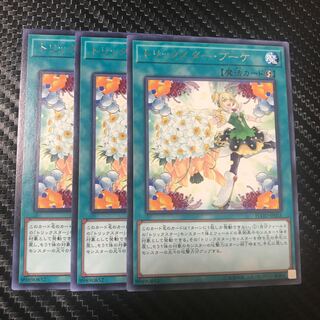 トリックスター・ブーケ R