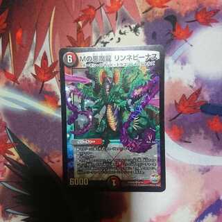 リンネビーナス