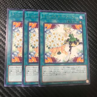 トリックスター・ブーケ R