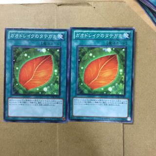 ガオドレイクのタテガミ　２枚