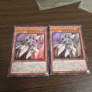 教導の騎士フルルドリス UR