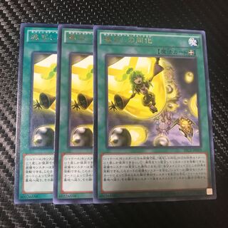 魂写しの同化 R