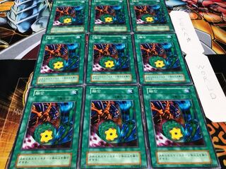 融合 初期 ノーマル 9枚セット 9枚