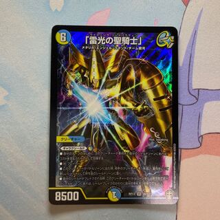 「雷光の聖騎士」