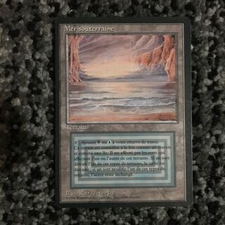 underground sea 黒枠 フランス語