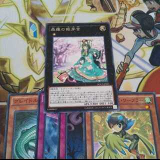 森羅の姫芽宮 R