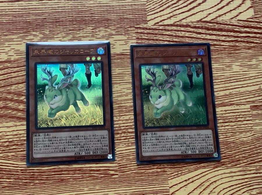 未界域のジャッカローブ