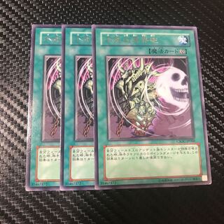 不死式冥界砲 R