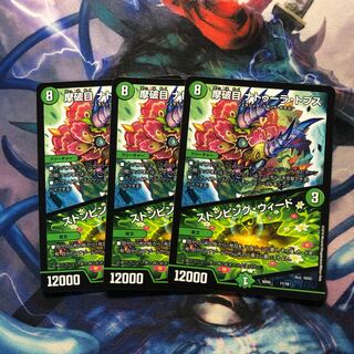 摩破目 ナトゥーラ･トプス/ストンピング･ウィード