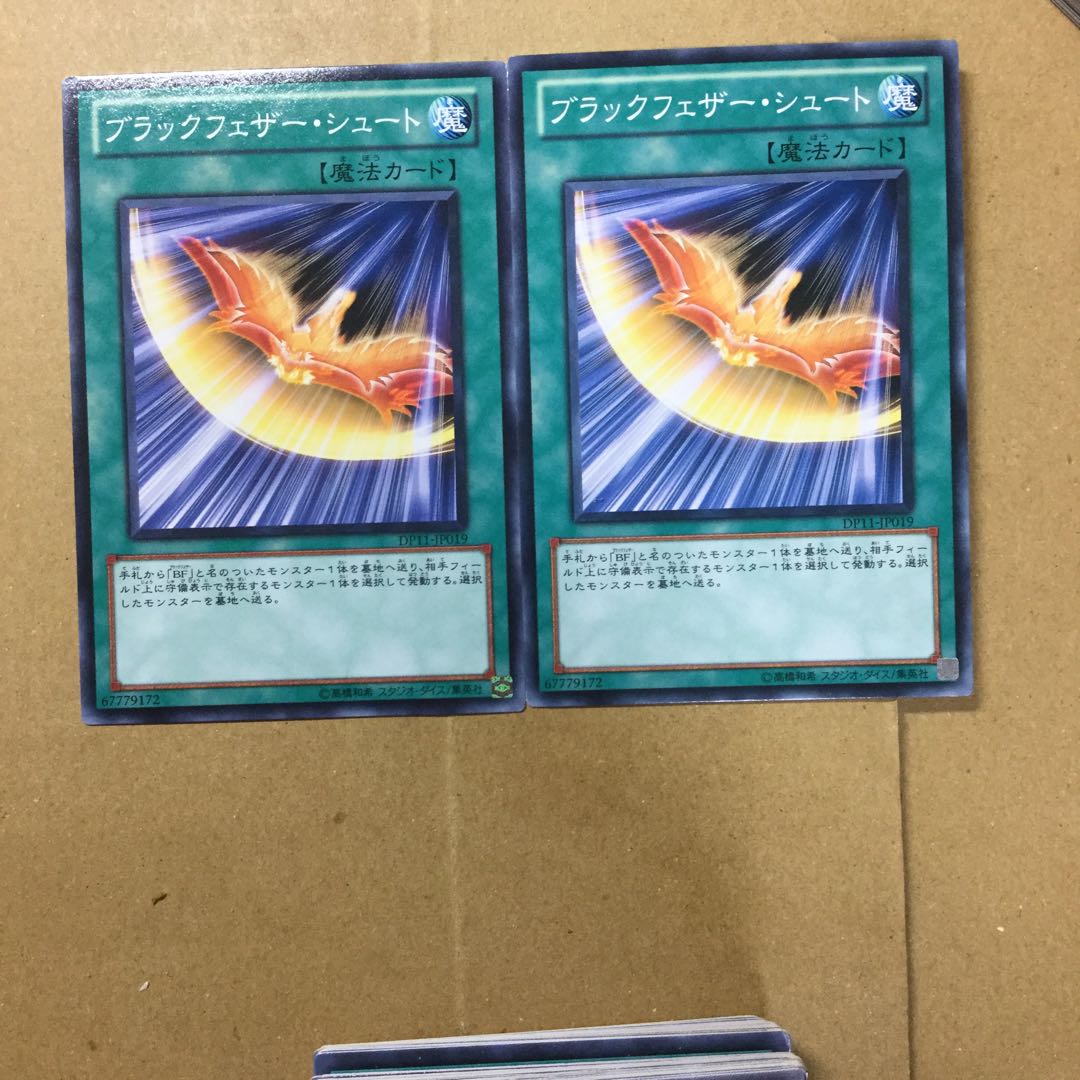 ブラックフェザー・シュート　２枚