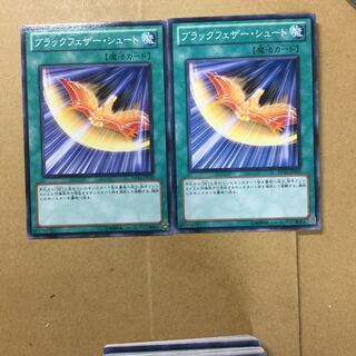 ブラックフェザー・シュート　２枚