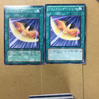 ブラックフェザー・シュート　２枚