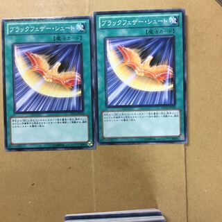 ブラックフェザー・シュート　２枚