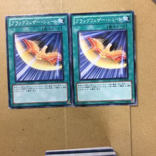 ブラックフェザー・シュート　２枚