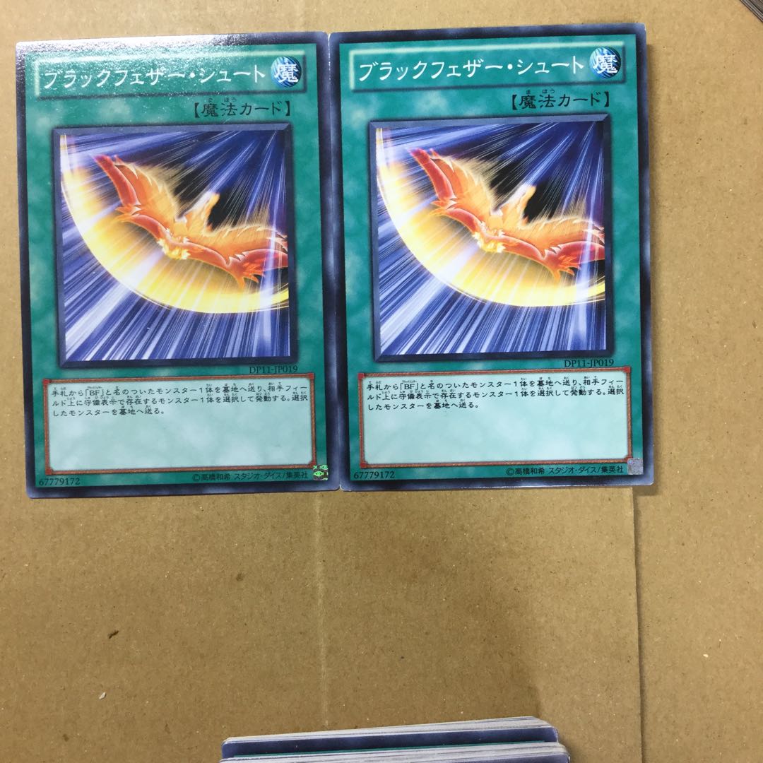 ブラックフェザー・シュート　２枚