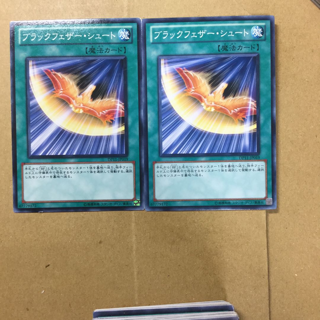 ブラックフェザー・シュート　２枚