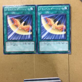 ブラックフェザー・シュート　２枚