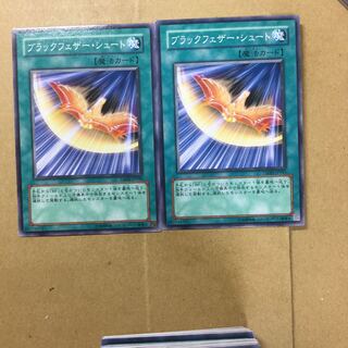 ブラックフェザー・シュート　２枚