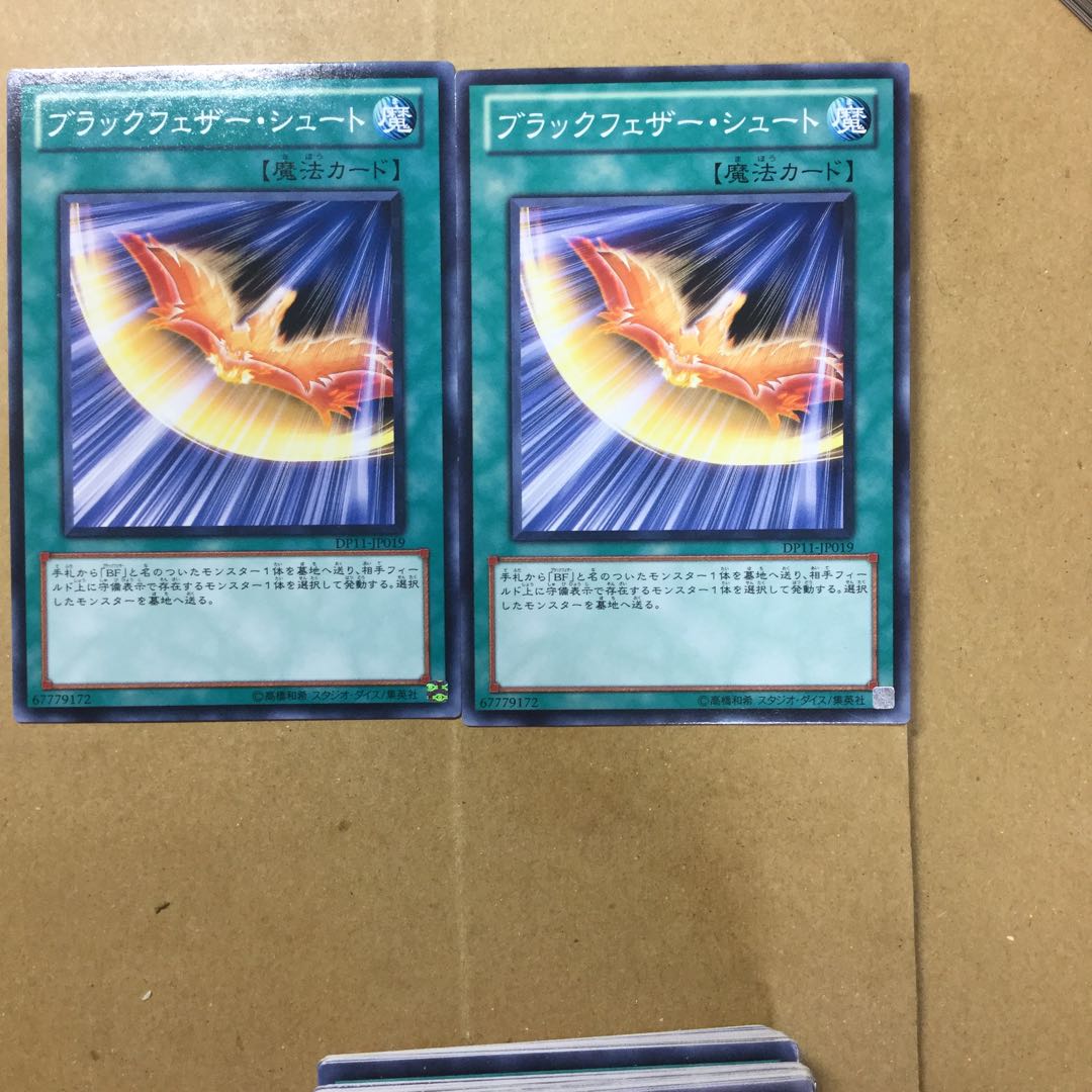 ブラックフェザー・シュート　２枚