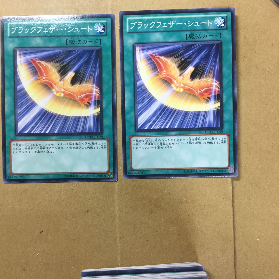 ブラックフェザー・シュート　２枚