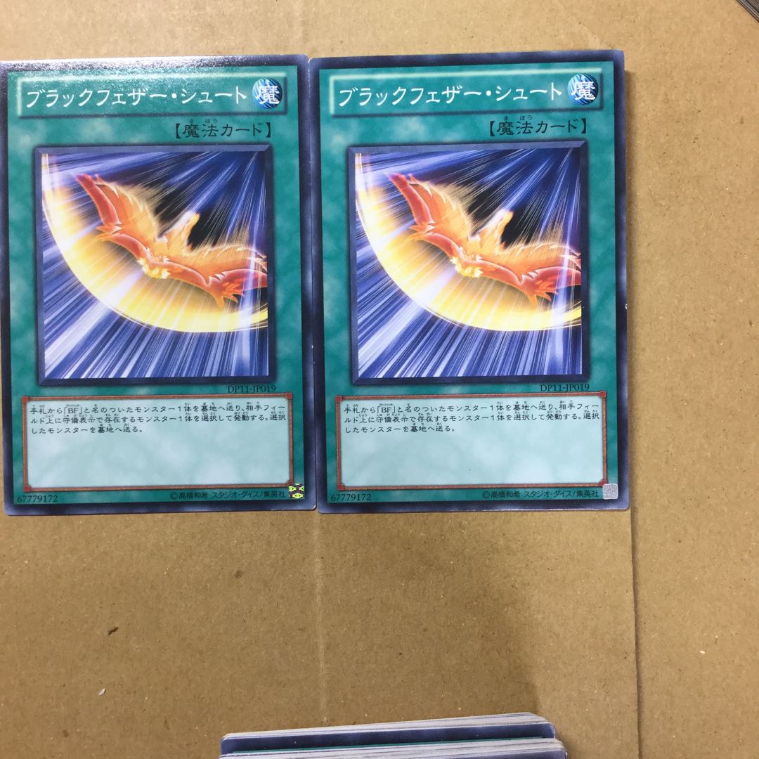 ブラックフェザー・シュート　２枚