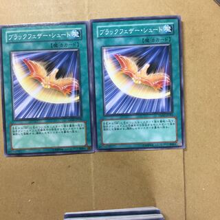 ブラックフェザー・シュート　２枚