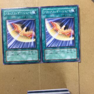 ブラックフェザー・シュート　２枚