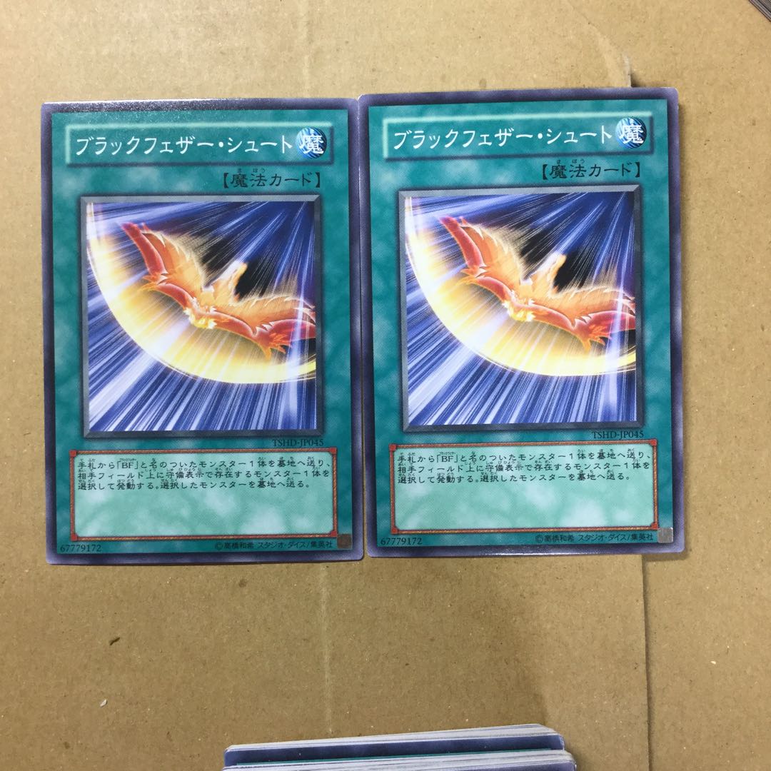 ブラックフェザー・シュート　２枚