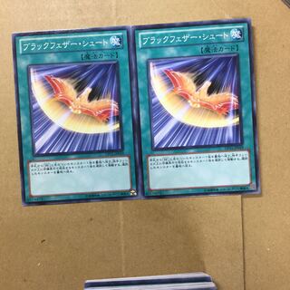 ブラックフェザー・シュート　２枚