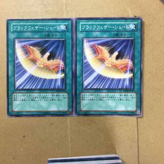 ブラックフェザー・シュート　２枚