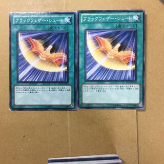 ブラックフェザー・シュート　２枚