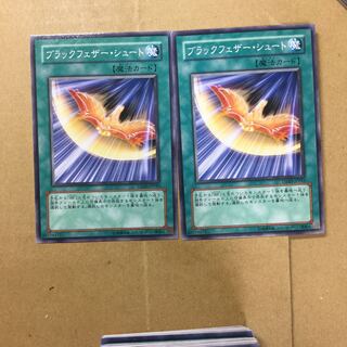 ブラックフェザー・シュート　２枚