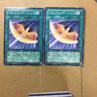 ブラックフェザー・シュート　２枚