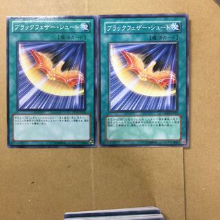 ブラックフェザー・シュート　２枚