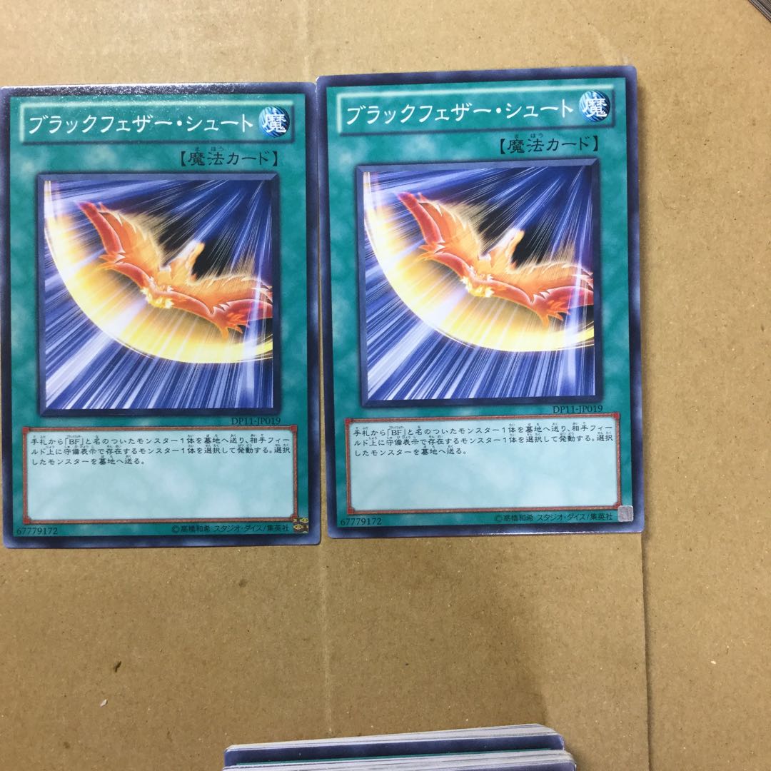 ブラックフェザー・シュート　２枚