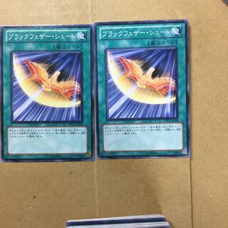 ブラックフェザー・シュート　２枚