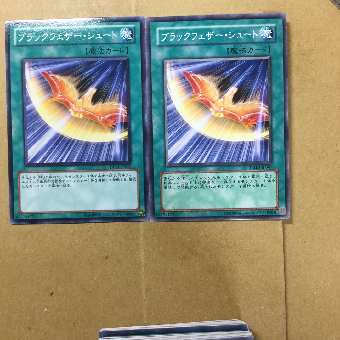 ブラックフェザー・シュート　２枚