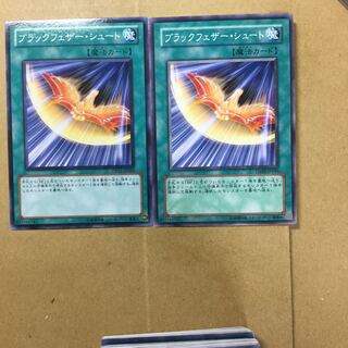 ブラックフェザー・シュート　２枚