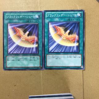 ブラックフェザー・シュート　２枚