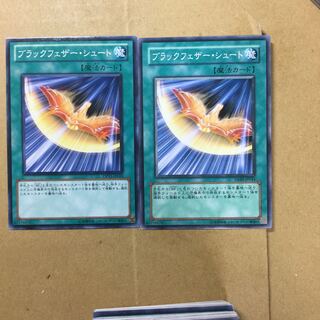 ブラックフェザー・シュート　２枚