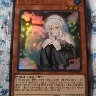 【買取】儚無みずき SE（英米DANE）