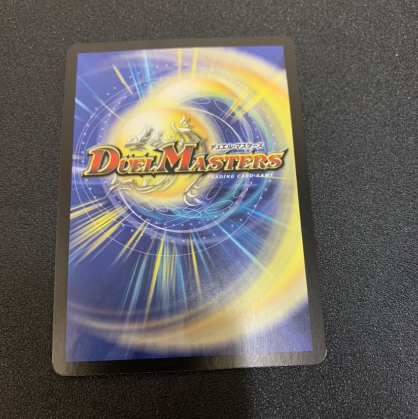 クリスタルパラディン フランス語