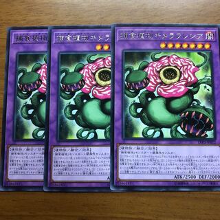 捕食植物キメラフレシア R  3枚