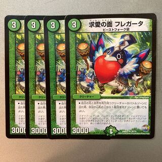 Faces of courtship Fregata