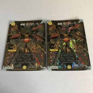 煌龍 サッヴァーク SE2枚