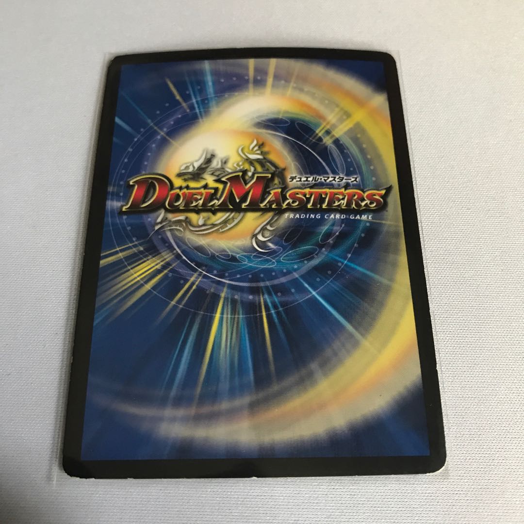 煌龍 サッヴァーク SE2枚